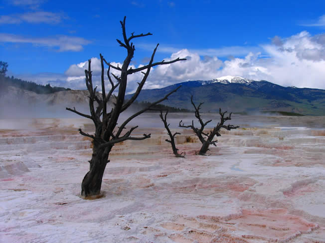 Yellowstone NP - hot springs and pools 