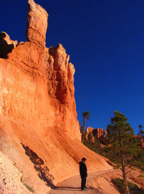 Hoodoos  Bryce Canyon NP