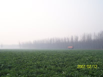 ݵ峿ߵĺ̲ԱǷ֣ɳ̲вũֵ߲ˡ China Jingzhou of Hubei province 