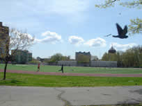 The park near my new home in brooklyn NY ŦԼ³